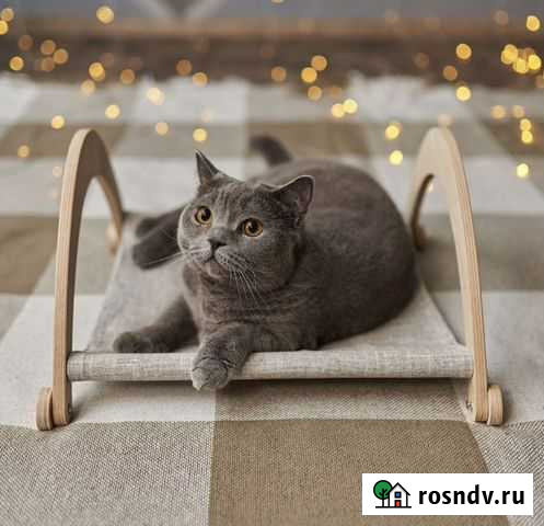 Лежанка для животных Краснодар - изображение 1