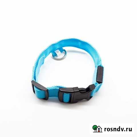 Ошейник с зарядкой USB Челябинск - изображение 1