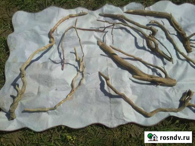 Коряги в аквариум или террариум Ростов-на-Дону - изображение 1