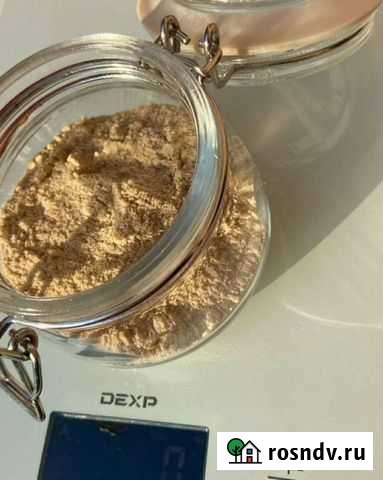 Ежовик гребенчатый зерномицелий Владикавказ - изображение 1