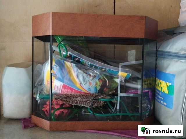 Аквариум Нариманов - изображение 1