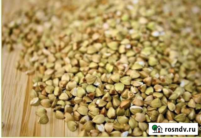 Зелёная гречка Алтай Саратов - изображение 1