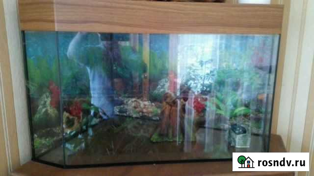 Аквариум Ростов-на-Дону - изображение 1