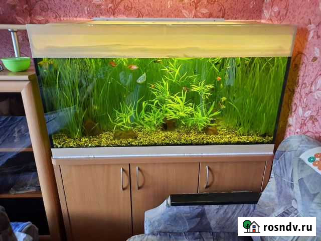 Аквариум 300литров Белово - изображение 1