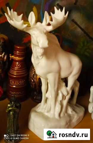 Лось лфз Шлиссельбург - изображение 1