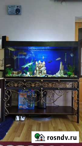 Аквариум Дербент - изображение 1