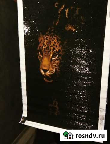 Картина ручной работы Краснодар - изображение 1