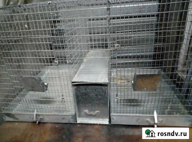 Клетка для шиншиллы Ульяновск - изображение 1
