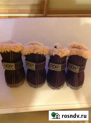 Обувь для собак (миниатюрных пород) Новокузнецк - изображение 1