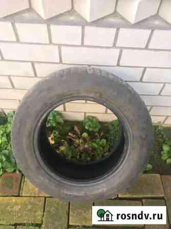 Gislaved Nord Frost 5 205/65 R15, 2 шт Клинцы