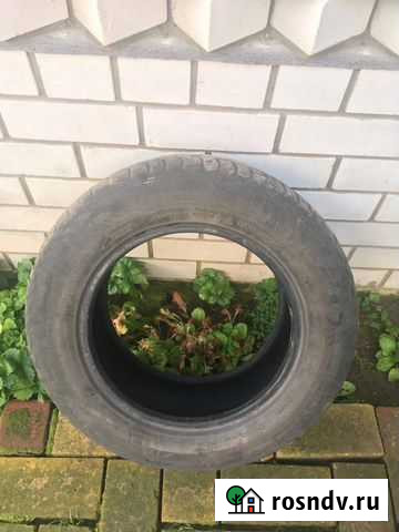 Gislaved Nord Frost 5 205/65 R15, 2 шт Клинцы - изображение 1