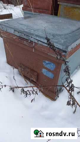 Продам Ульи Аркадак - изображение 1