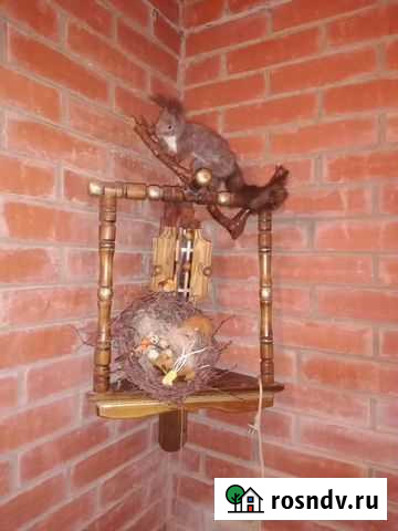 Чучело белки Химки - изображение 1