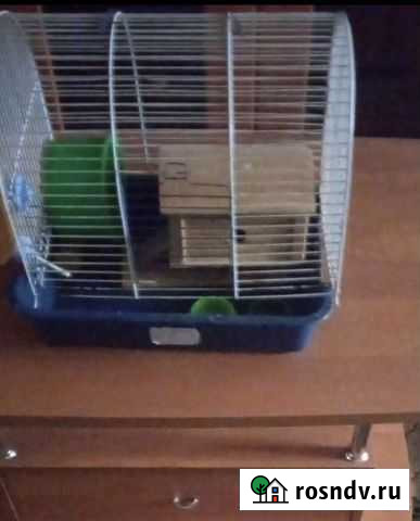 Клетка для грызунов Челябинск - изображение 1