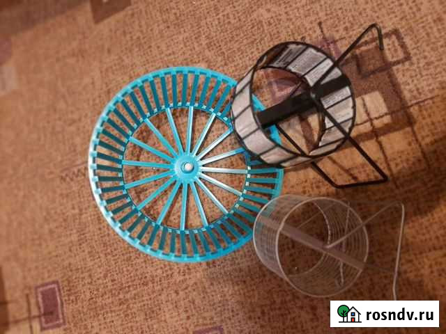 Наборы для грызунов Нижний Новгород - изображение 1