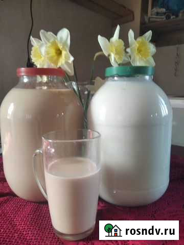Домашнее молоко Горячий Ключ - изображение 1
