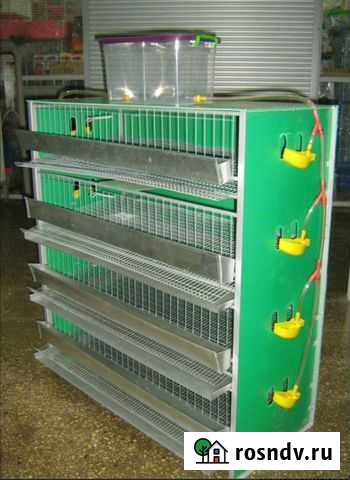 Клетки для перепелов Барнаул - изображение 1