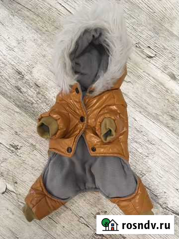 Продам зимнюю куртку для собачки Тюмень - изображение 1