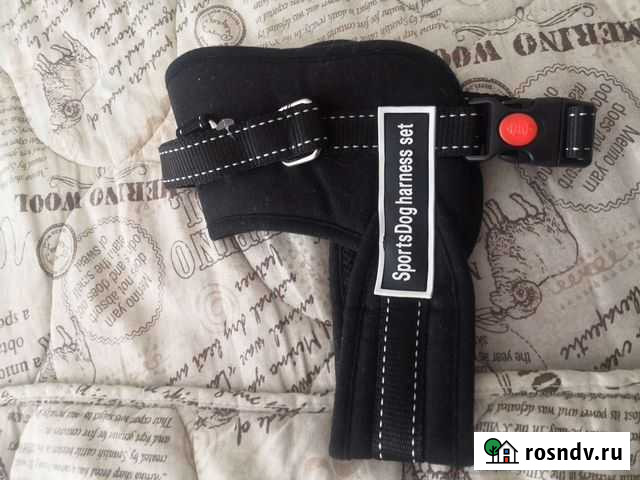 Шлейка для собаки Краснодар - изображение 1