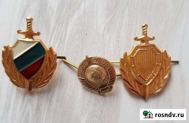 Офицерские значки Благовещенск - изображение 1