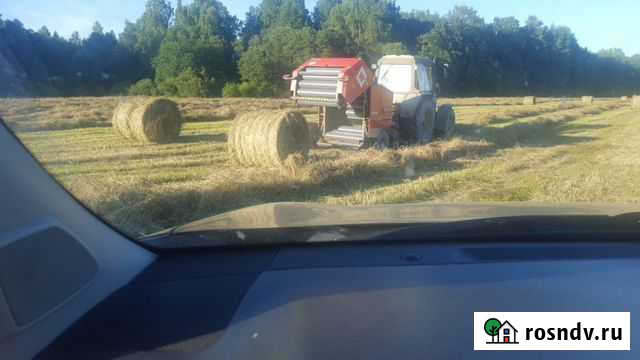 Сено в рулонах Шаховская - изображение 1