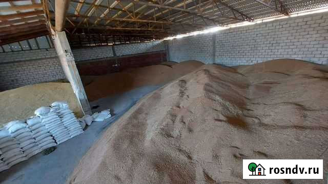 Зерно Ойсхара - изображение 1