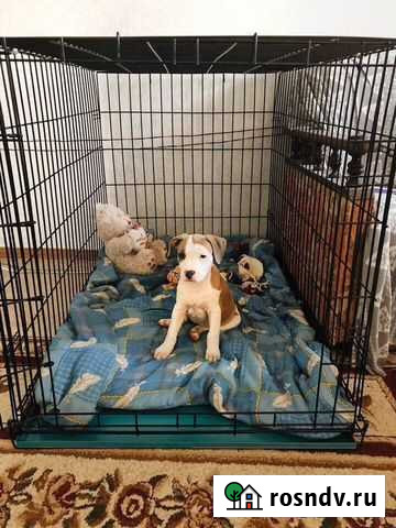 Вольер для собак новый Иркутск - изображение 1