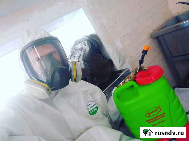 Дзинсекция Дератизация Дезинфекция Аккарицидная Ижевск - изображение 1