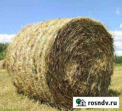 Продам сено в рулонах Преображенская
