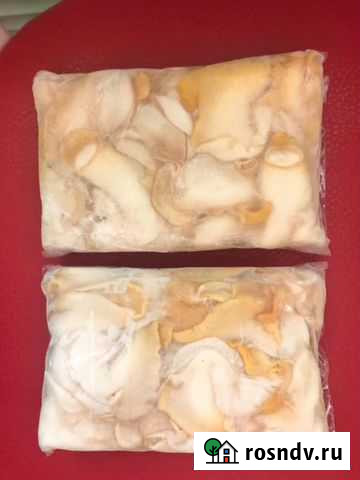 Филе трубача Магадан - изображение 1