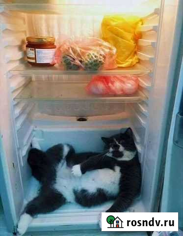 Ремонт холодильников Исянгулово - изображение 1