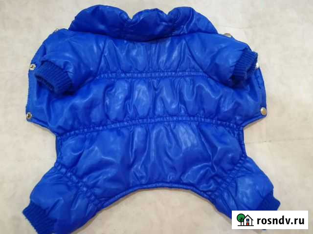 Комбинезон для собачки. XS Волгоград - изображение 1