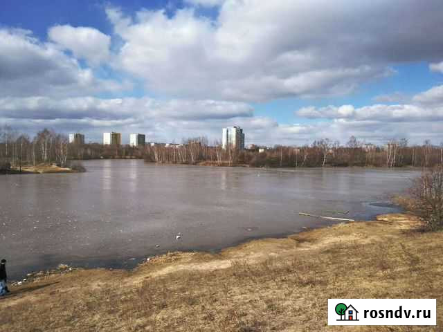 Носы говяжьи 50 р Нижний Новгород - изображение 1