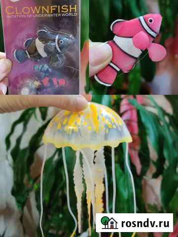 Декор для аквариума Мурманск - изображение 1