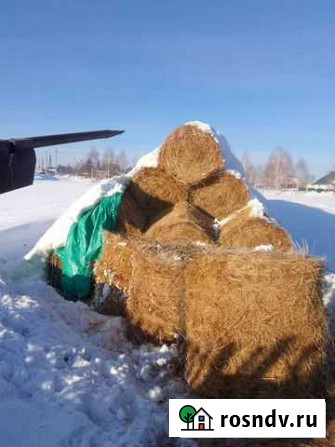 Сено в рулонах (обмен) Прокопьевск - изображение 1