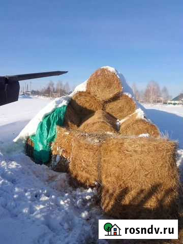 Сено в рулонах (обмен) Прокопьевск - изображение 1