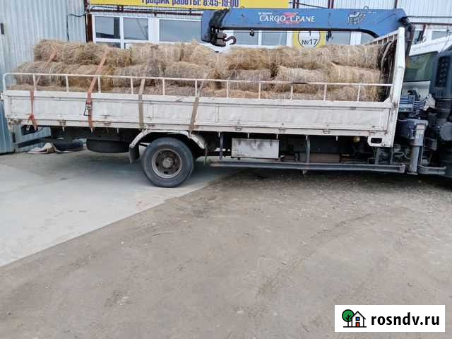 Сено Солома Подстилка Челябинск - изображение 1