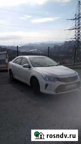 Волитель на постоянной основе Владивосток - изображение 1