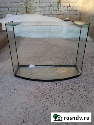 Аквариум Киров - изображение 1