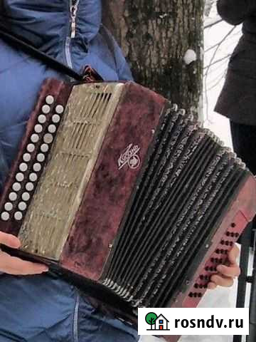 Гармонь кубань Мытищи - изображение 1