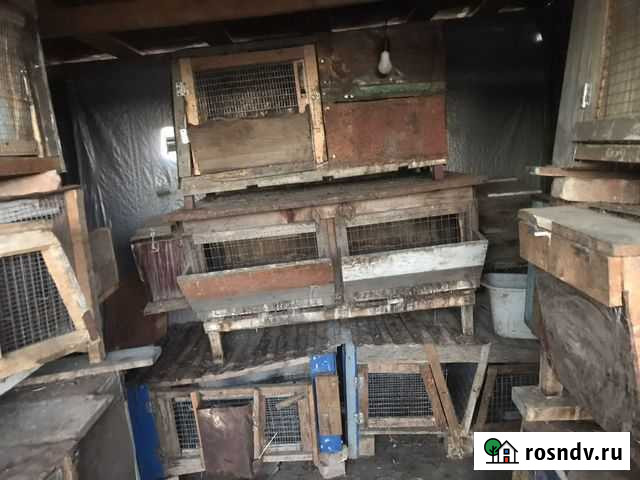 Клетки для кроликов Зеленчукская - изображение 1