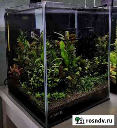 Аквариум Aquael shrimpset 20 Чита