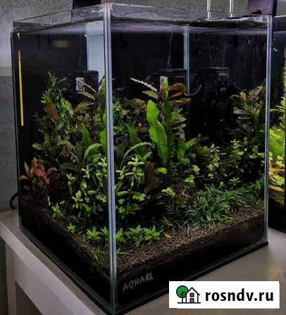 Аквариум Aquael shrimpset 20 Чита - изображение 1