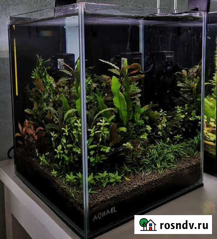 Аквариум Aquael shrimpset 20 Чита - изображение 1