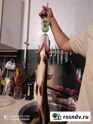 Рыбалка Елизаветино - изображение 1