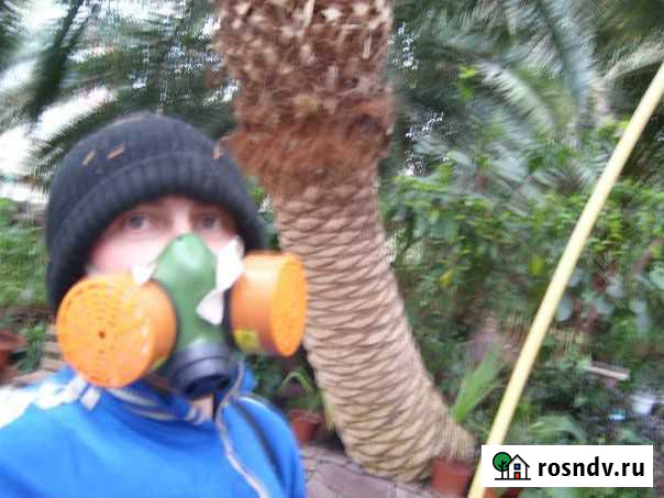 Агронома профессиональные услуги Владимир - изображение 1