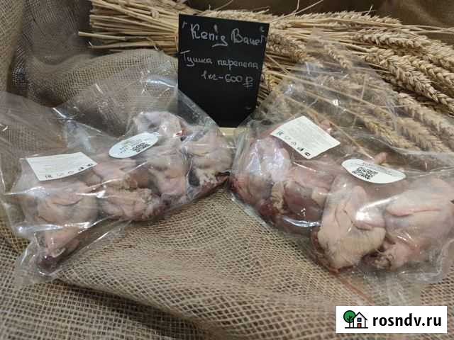 Мясо перепелов Калининград - изображение 1