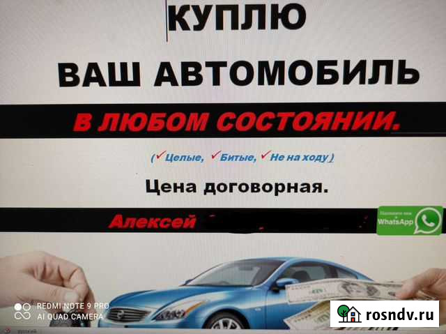 Деловые. Услуги Лакинск - изображение 1