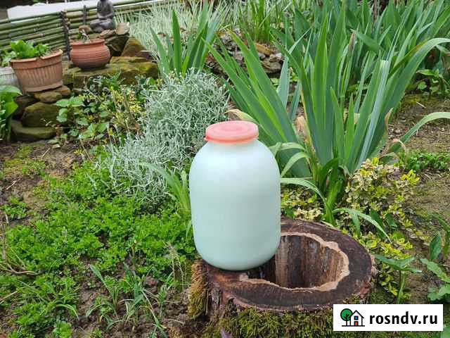 Козье молоко Сочи - изображение 1