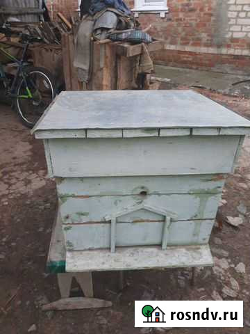 Ульи Северный - изображение 1